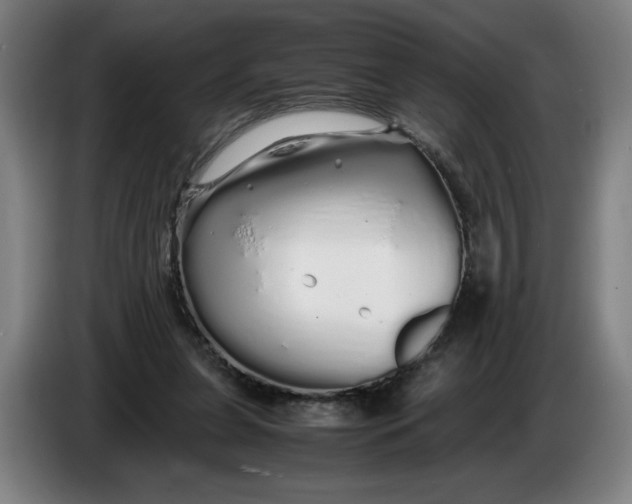 X0000086260255200704191910