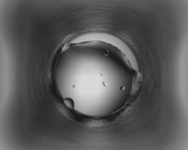 X0000086260256200704191910
