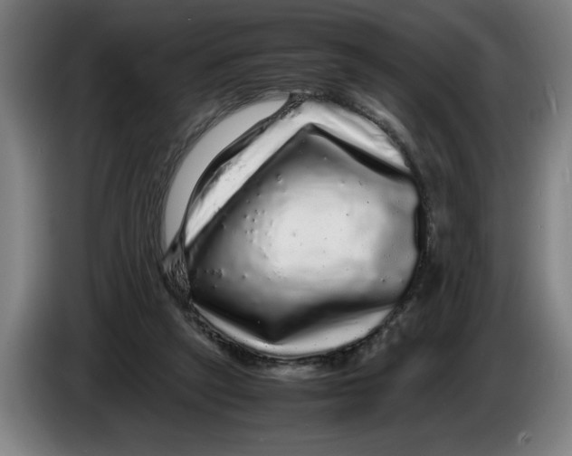 X0000086260257200704191910