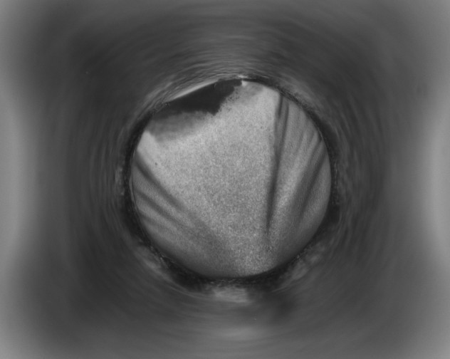 X0000086260258200704191910