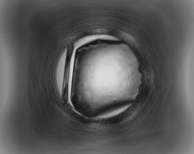 X0000086260259200704191910