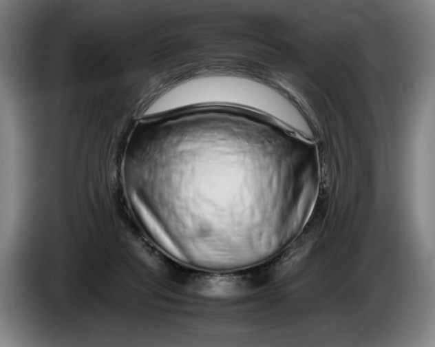 X0000086260261200704191910