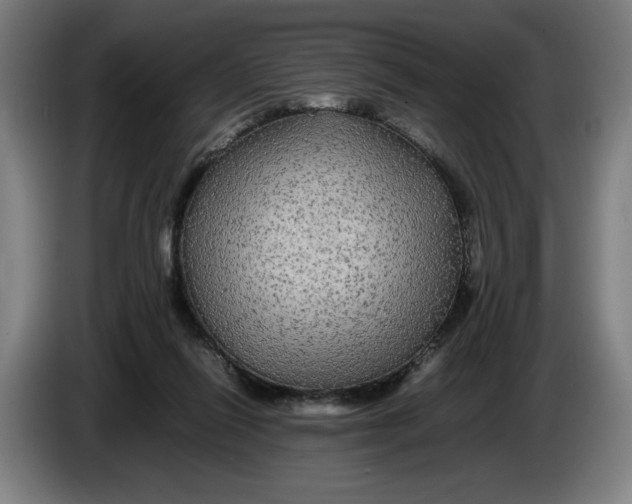 X0000086260262200704191910