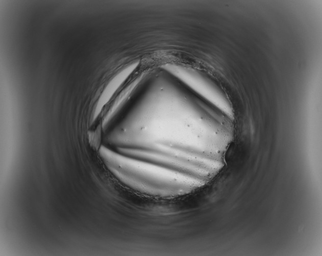 X0000086260263200704191910
