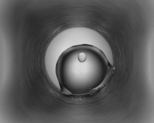X0000086260264200704191910