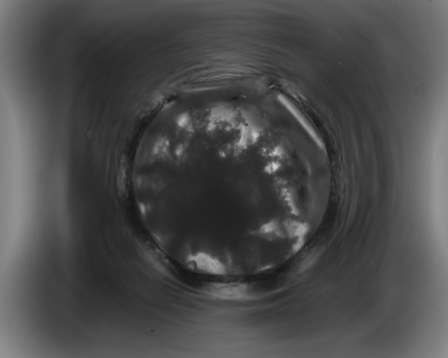 X0000086260266200704191910