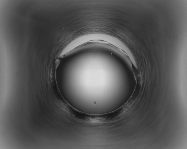 X0000086260268200704191910
