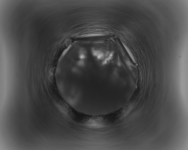 X0000086260271200704191910