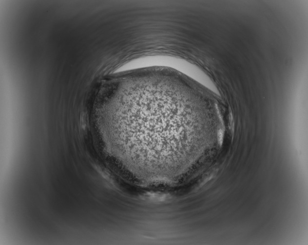 X0000086260272200704191910