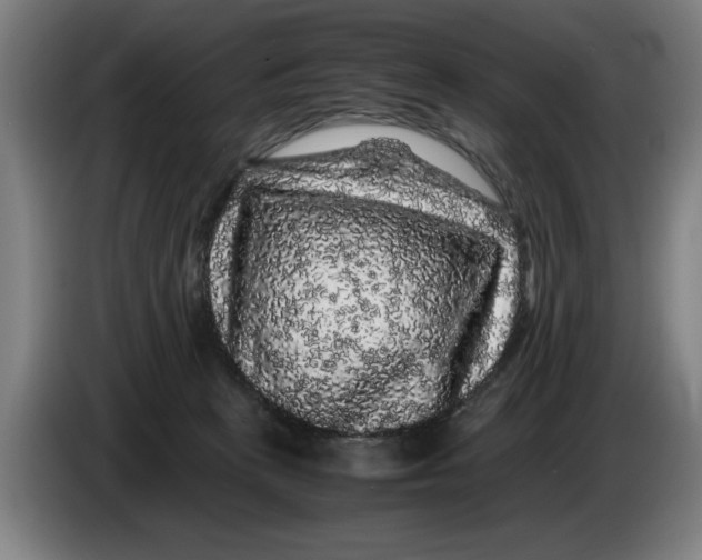 X0000086260273200704191910