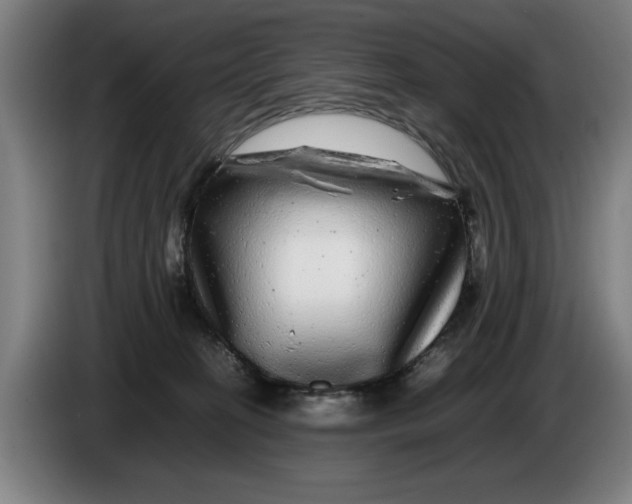 X0000086260274200704191910