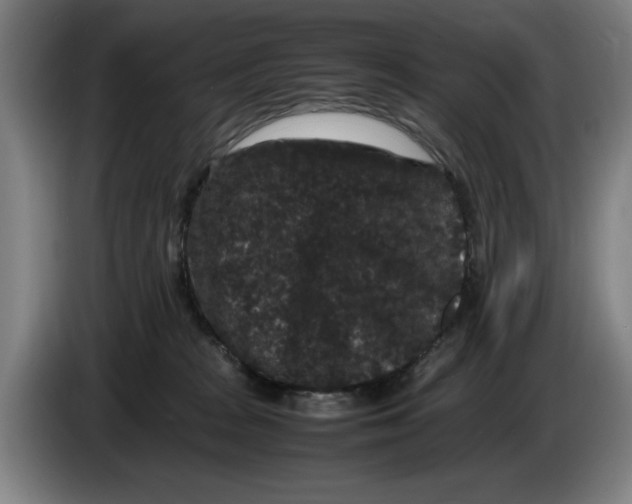 X0000086260277200704191910