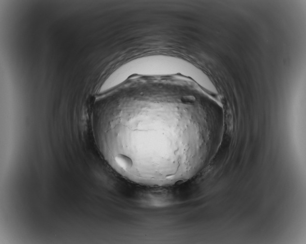 X0000086260279200704191910