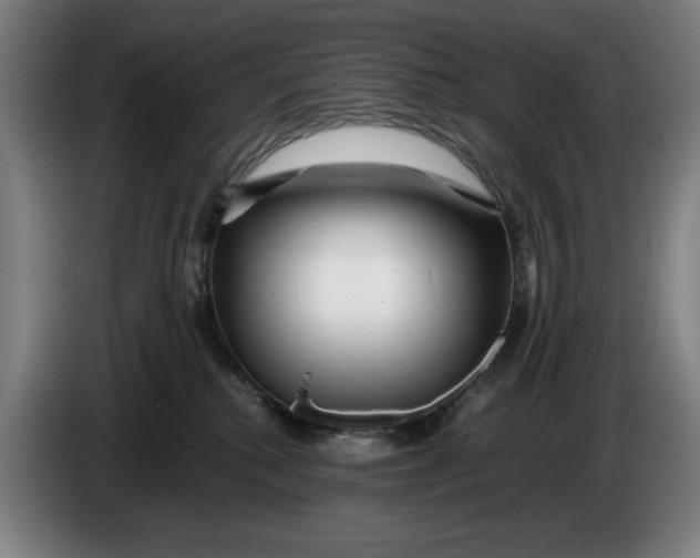 X0000086260280200704191910