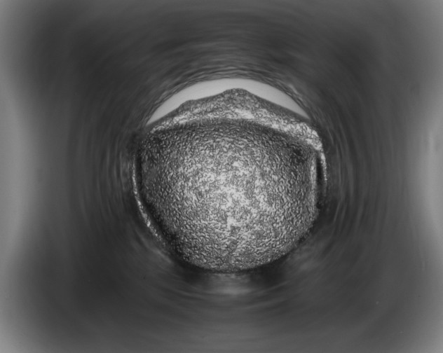 X0000086260281200704191910