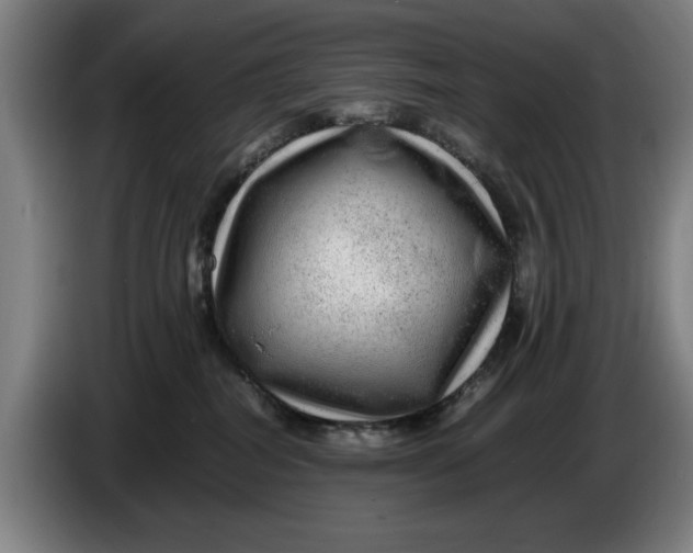 X0000086260282200704191910