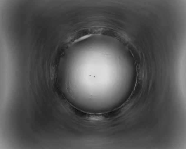 X0000086260283200704191910
