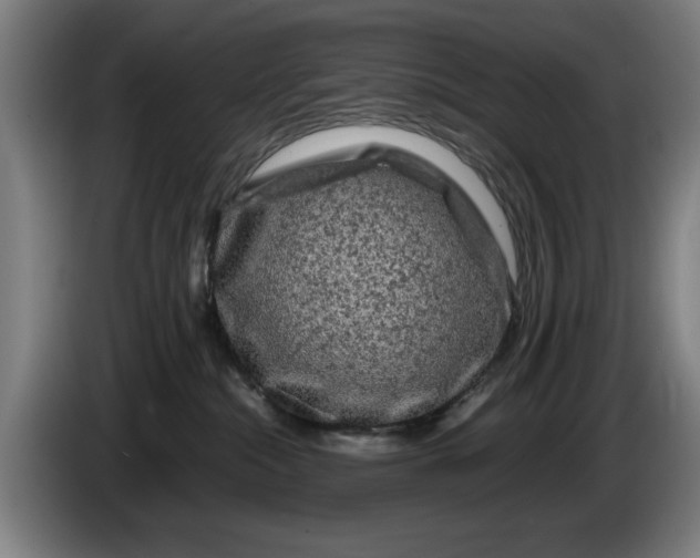 X0000086260284200704191910