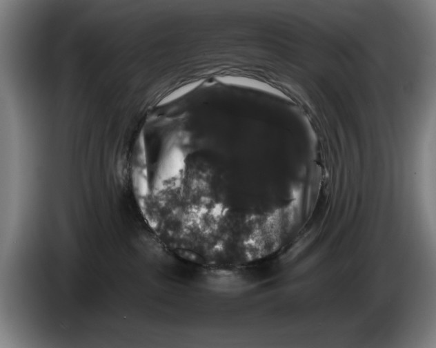 X0000086260285200704191910