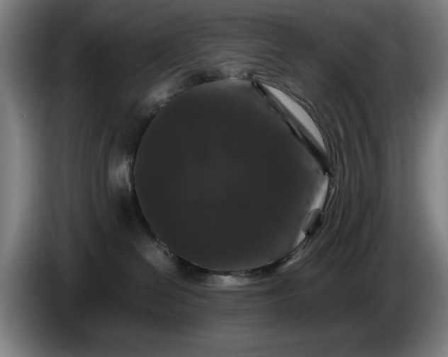 X0000086260286200704191910