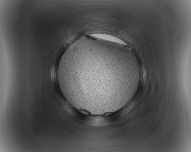 X0000086260287200704191910