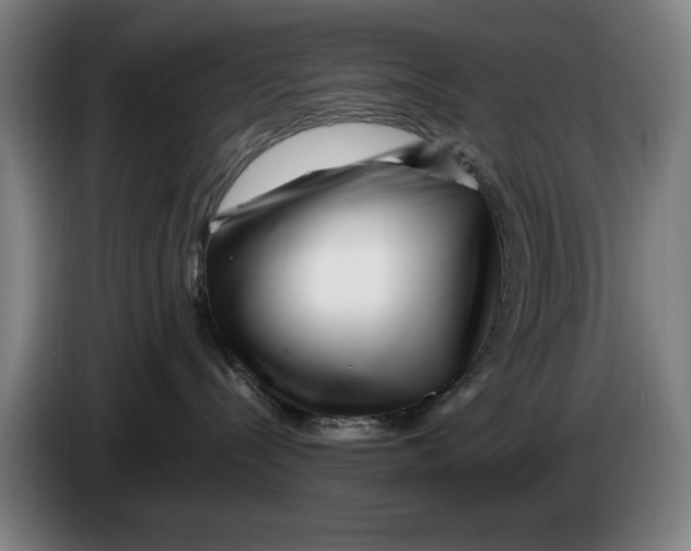 X0000086260288200704191910
