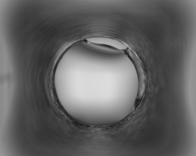 X0000086260289200704191909