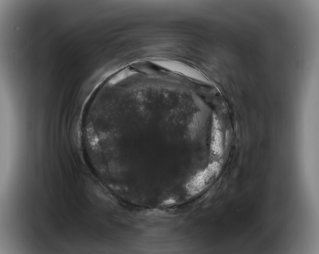 X0000086260290200704191909