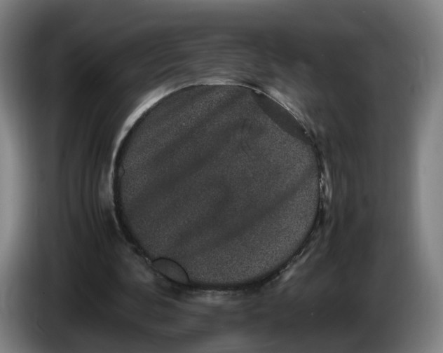 X0000086260292200704191909