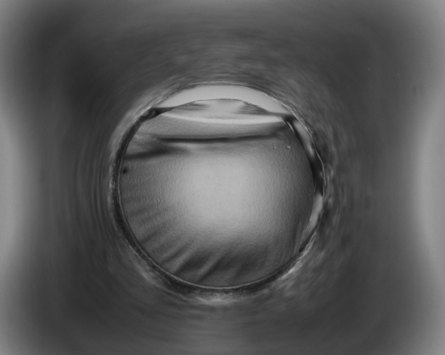 X0000086260293200704191909