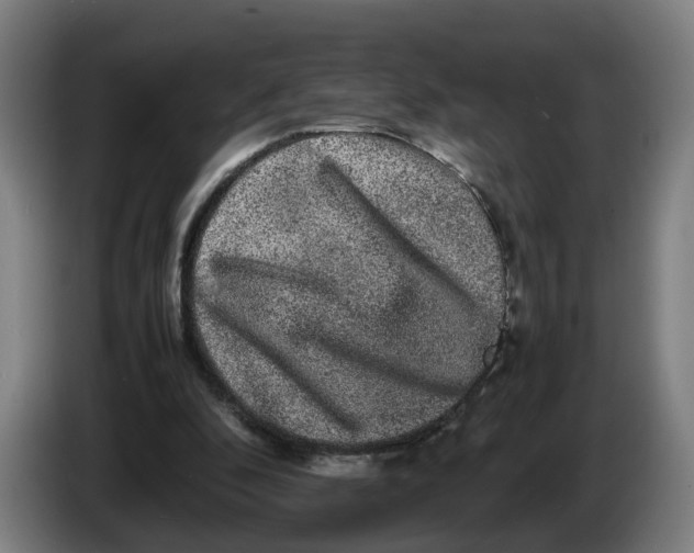 X0000086260296200704191909