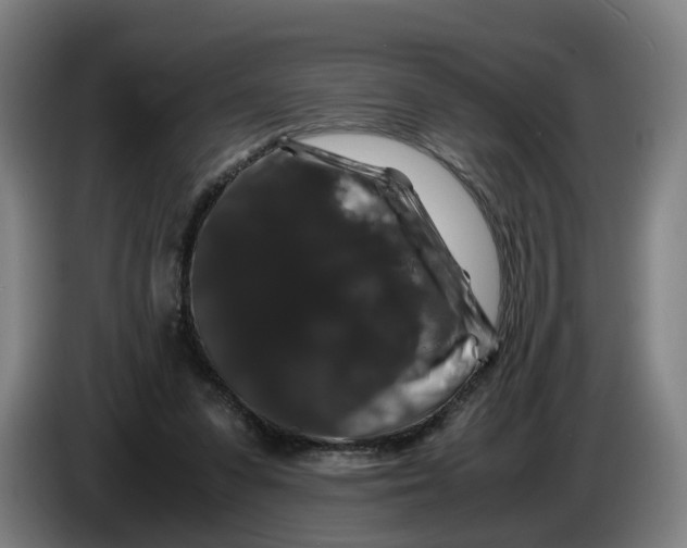 X0000086260303200704191909