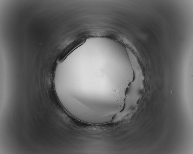 X0000086260305200704191909