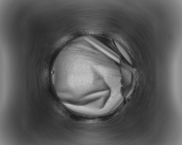 X0000086260306200704191909
