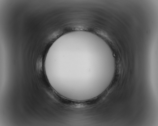 X0000086260310200704191909