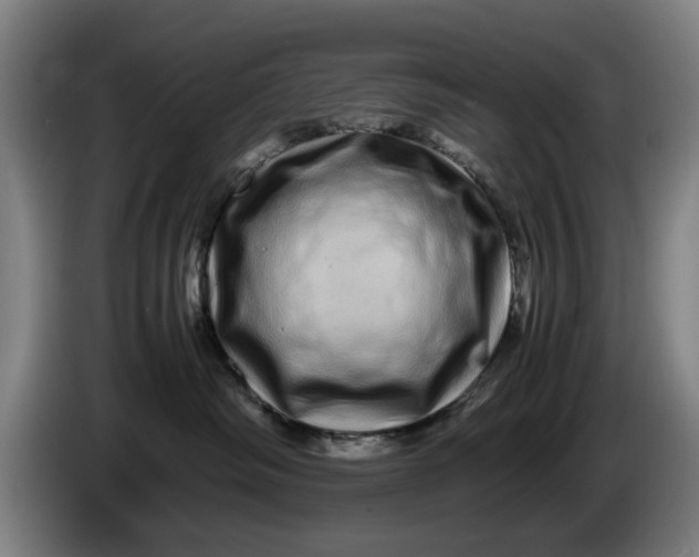 X0000086260334200704191909
