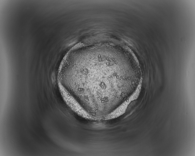 X0000086260335200704191909