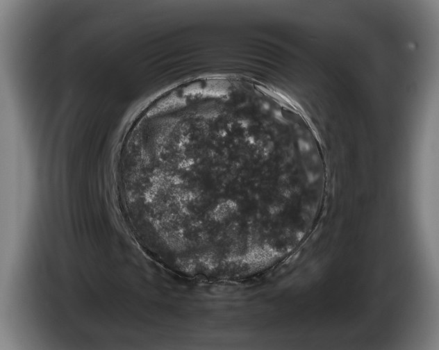 X0000086260337200704191908