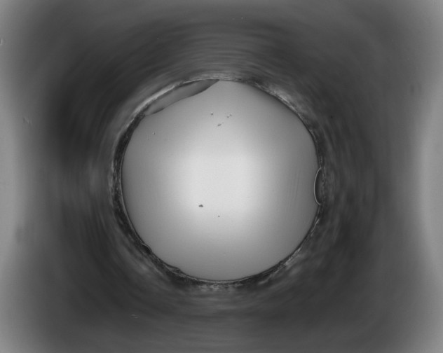 X0000086260338200704191908