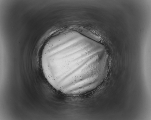 X0000086260339200704191908