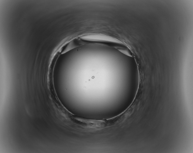 X0000086260340200704191908