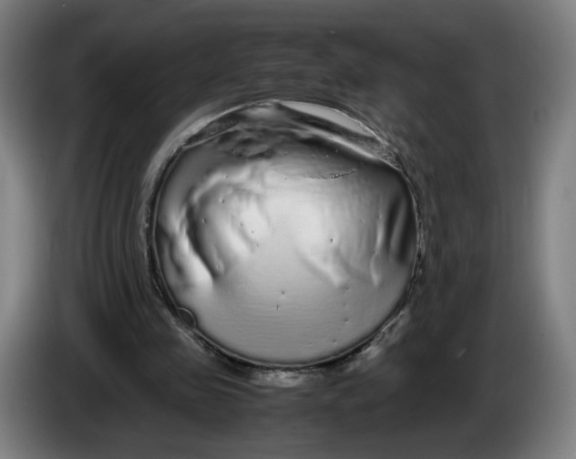 X0000086260341200704191908