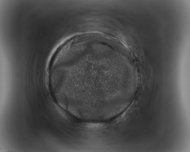 X0000086260342200704191908