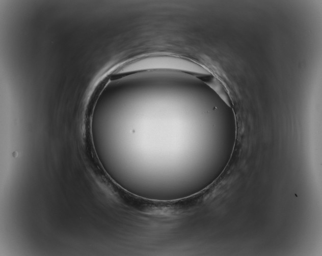 X0000086260344200704191908