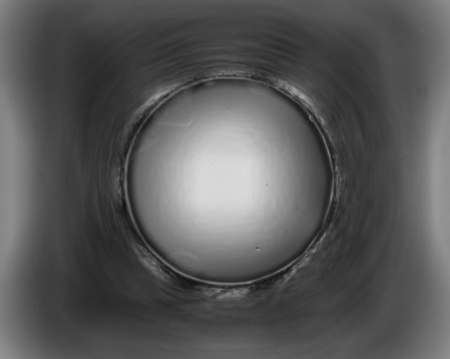 X0000086260345200704191908