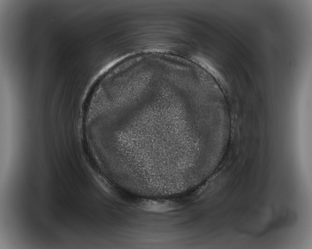 X0000086260346200704191908