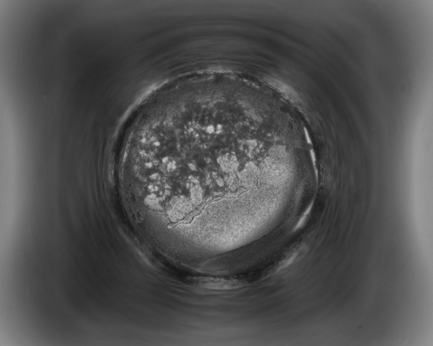 X0000086260347200704191908