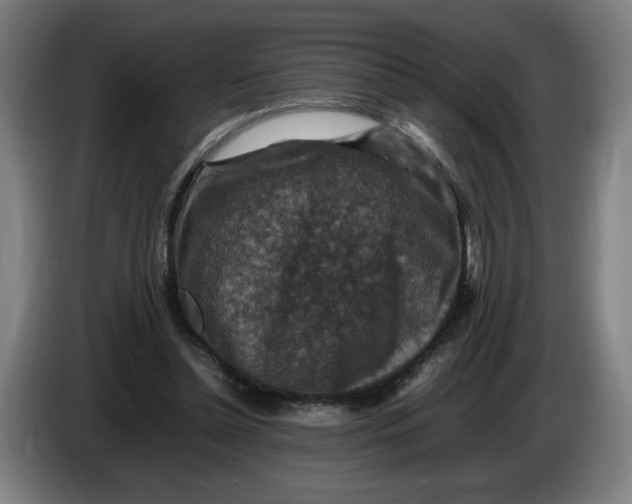 X0000086260348200704191908