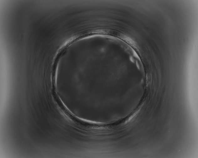 X0000086260349200704191908