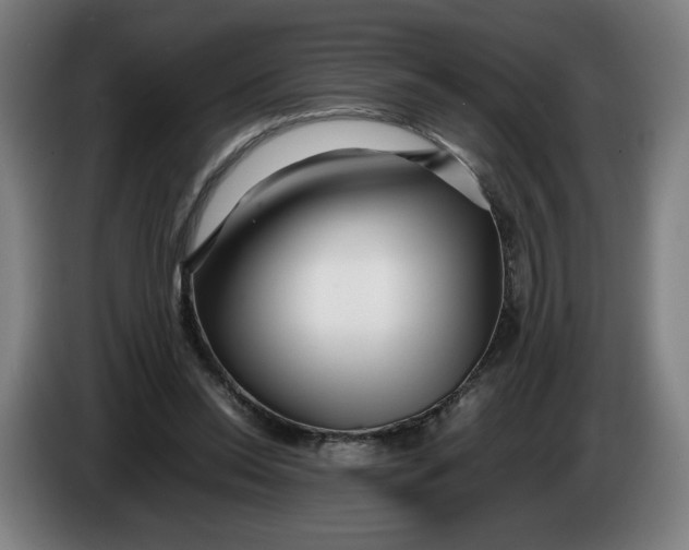 X0000086260350200704191908